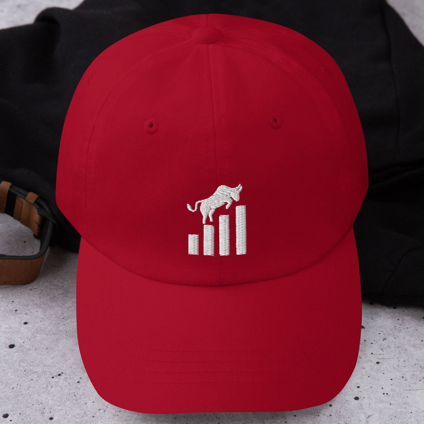 Finance Bro Gift Hat | Bull Market Cap | Stock Trader Dad Hat, Wall Street Humor, Crypto Investor Apparel, Day Trading Gifts for Him
